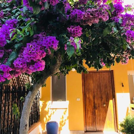 Bed and Breakfast Le Stanze Di Botticelli Termoli Exterior foto