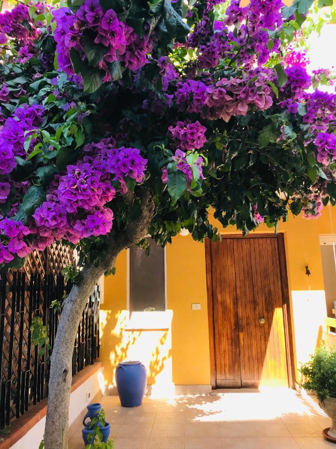 Bed and Breakfast Le Stanze Di Botticelli Termoli Exterior foto